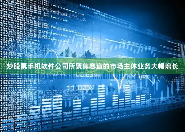 炒股票手机软件公司所聚焦赛道的市场主体业务大幅增长