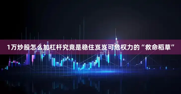 1万炒股怎么加杠杆究竟是稳住岌岌可危权力的“救命稻草”