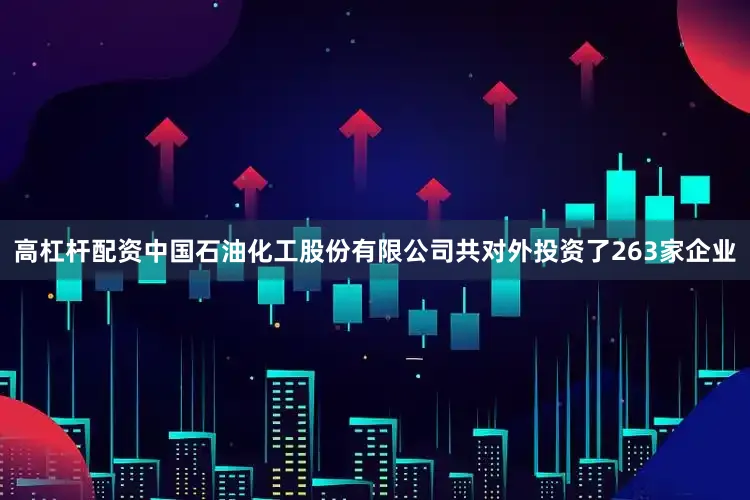 高杠杆配资中国石油化工股份有限公司共对外投资了263家企业