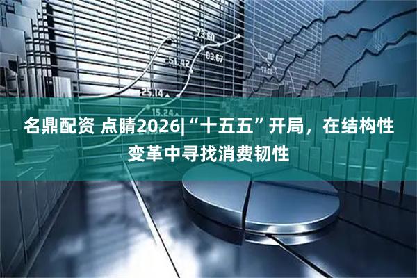 名鼎配资 点睛2026|“十五五”开局，在结构性变革中寻找消费韧性