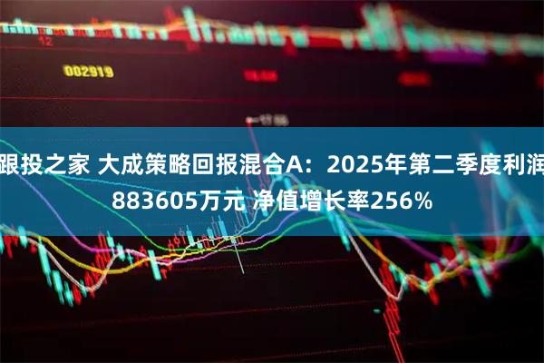 跟投之家 大成策略回报混合A：2025年第二季度利润883605万元 净值增长率256%