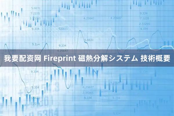 我要配资网 Fireprint 磁熱分解システム 技術概要