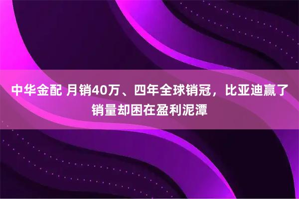 中华金配 月销40万、四年全球销冠，比亚迪赢了销量却困在盈利泥潭